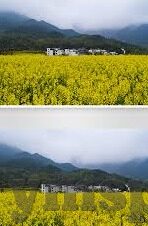 麻豆传媒映画国产-麻豆传媒映画，国产影视的独特魅力与挑战