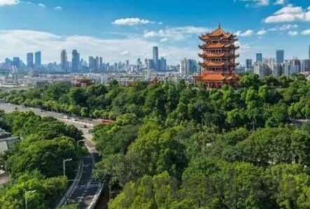 麻豆丝袜视频-如何安全、理智地使用数字设备