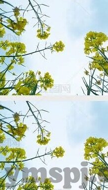 沈芯语麻豆文化传媒视频-探索沈芯语与麻豆文化传媒的崭新媒体视界，解密网络视频新风尚