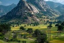 糖心app免费版下载-拒绝诱惑，理性探秘糖心APP免费版下载的真相