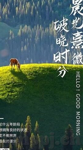 糖心app下载安卓版17MB-安卓用户必知，糖心APP，便捷生活的轻松下载